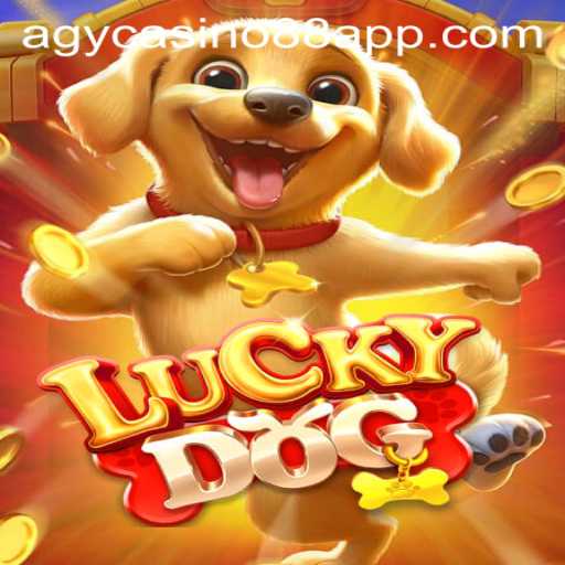 Dive into the Excitement with LuckyDog: Experience the Thrill with AGYCASINO88 APP